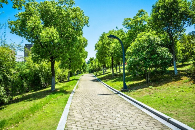 Przepisy o odbudowie zasobów przyrodniczych oznaczają paraliż inwestycyjny?